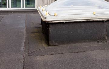 disadvantages of Drumburgh flat roofs